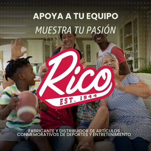 Vista 8 de Escudo de la NFL troquelado para auto