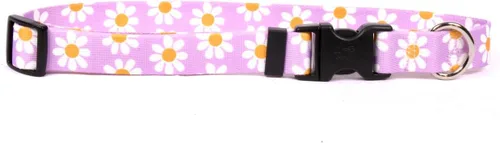 Vista 13 de Collar de perro Green Daisy - Tamaño gato de 8 a 12 pulgadas de largo Verde (Green Daisy)