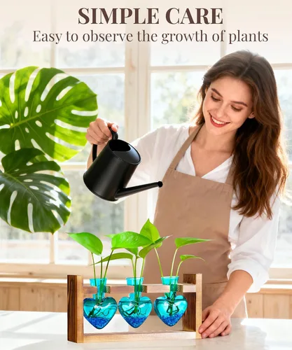 Vista 6 de Nacome Estaciones de propagación de terrarios de plantas: regalos del día de la madre para mamá, amantes de las plantas, mujeres, esposa, hija