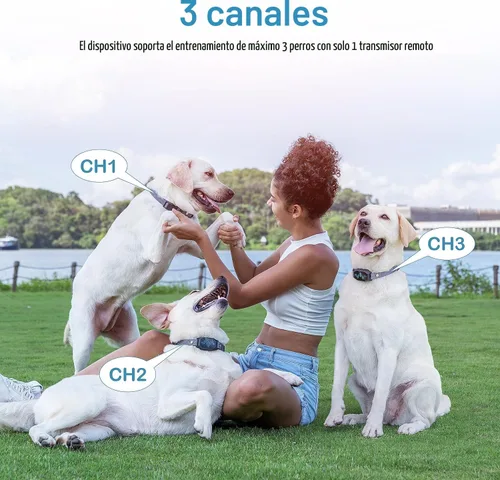 Vista 7 de Collar de entrenamiento para perros, collar de choque para perros con control remoto, 2500 pies y 4 modos de entrenamiento pitido, vibración, choque