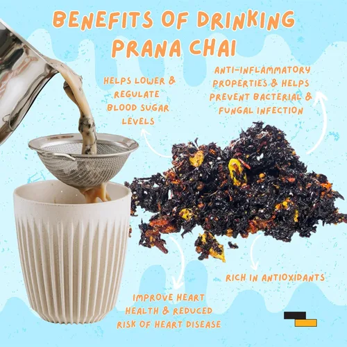 Vista 9 de Prana Chai Paquete de iniciación de 2 bolsas Chai Lovers que incluye tetera Chai, colador de malla fina y 2 bolsas de mezcla Masala totalmente