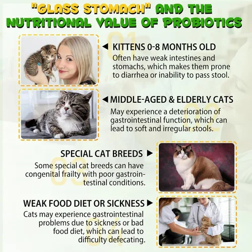 Vista 6 de Alivio del estreñimiento del gato, 2 onzas líquidas, laxante 100% natural para gatos con 6 probióticos para el estreñimiento, promueve la salud