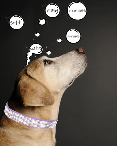 Vista 3 de Collar de perro Petank para perros pequeños, medianos y grandes, collar de perro pequeño para perras, collares de perro para niñas con brillo