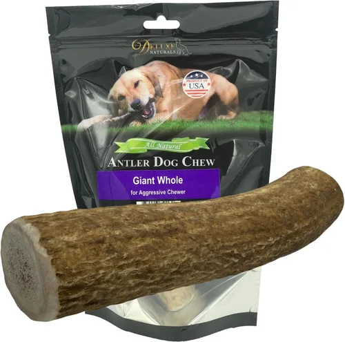 Vista 35 de 2 x 1 libra cuernos de alce masticables pequeños mixtos enteros y partidos para perros de juguete a pequeños de menos de 20 libras (5-7+ pulgadas)