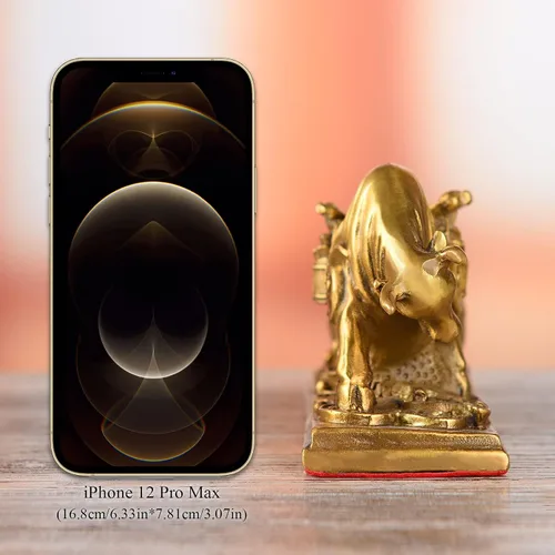 Vista 3 de BRASSTAR TQZMPT1 - TQZMPT1 - TQZMPT1 - Estatua de Feng Shui de latón tira de riqueza con monedas, estatua de fortuna y suerte reunir regalos