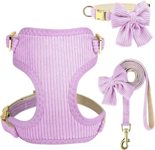 Vista 9 de Didog Lindo Arnés para Perro Pequeño con Collar y Correa con Moño, Arnés para Cachorros de Malla Suave y Transpirable Acolchado, Arnés para Perros