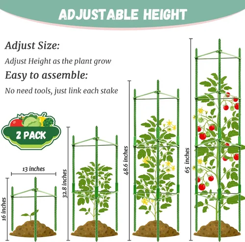 Vista 2 de Legigo Paquete de 2 jaulas de tomate para soporte de plantas de jardín, estacas de jardín de hasta 48 pulgadas, enrejado de tomate para plantas