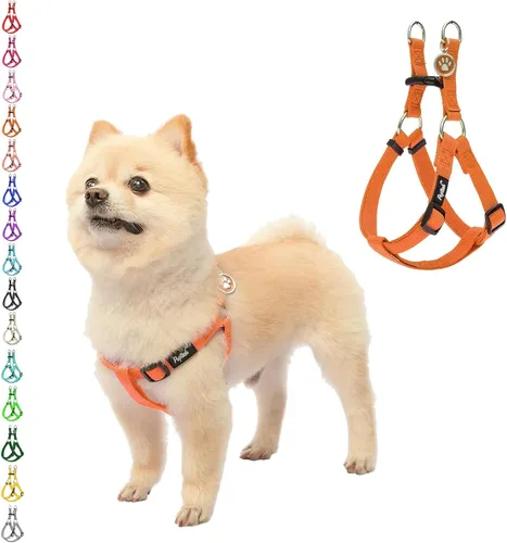 Vista 70 de Pupteck - Arnés para perros sin jalar, suave, ajustable, de nailon, talla básica, chaleco para cachorro, para caminar al aire libre con etiqueta