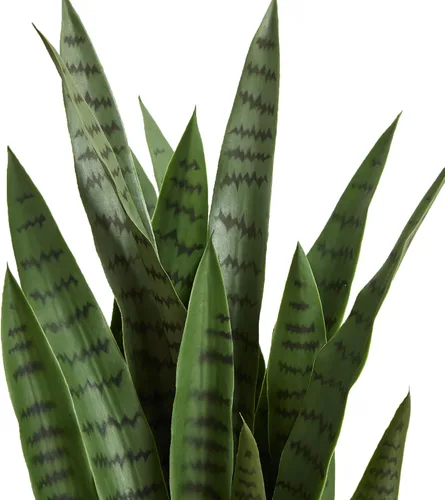 Vista 3 de Nearly Natural Planta de serpiente artificial Sansevieria de 38 pulgadas Verde