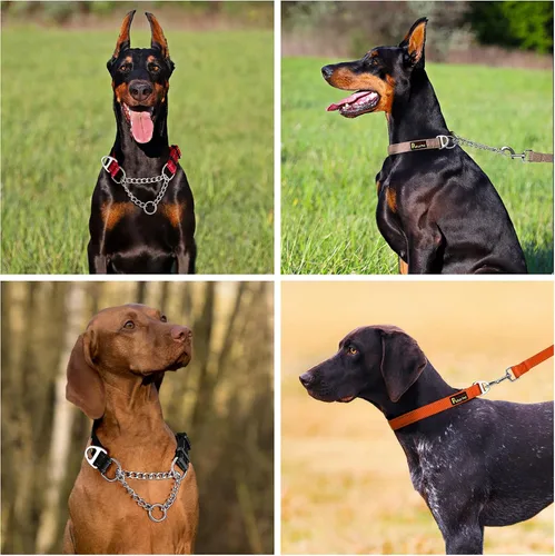Vista 6 de Collar de perro Martingale de Plutus Pet con cadena de acero inoxidable y nylon reflectante, collar de entrenamiento ajustable sin tirón, para Beige