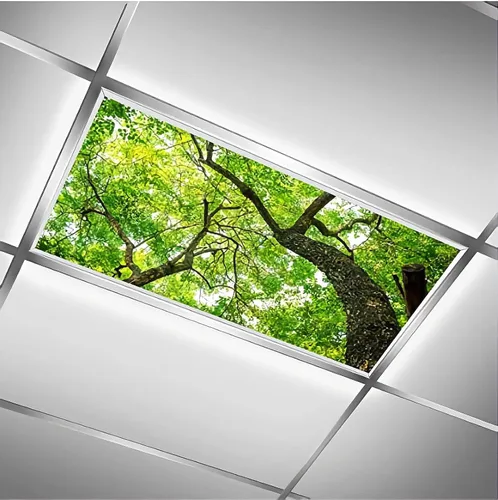 Vista 19 de Cubiertas de luz fluorescente para luces de techo de aula – Película retroiluminada de 2x4 pies para luminarias fluorescentes, fácil de instalar