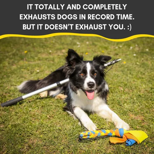 Vista 5 de YES4QUALITY Poste de coqueteo para perros – Seguro y fuerte para razas grandes con cuerda no elástica – Poste de resorte para tira y afloja, juego