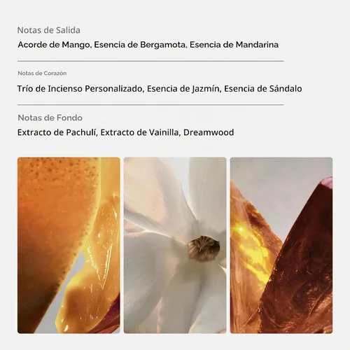 Vista 2 de Paco Rabanne Fama Parfum