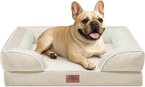 Vista 122 de Comfort Expression - Cama ortopédica para perros medianos, 28 x 19 pulgadas, cama impermeable y de apoyo de espuma con cojines removibles, sofá