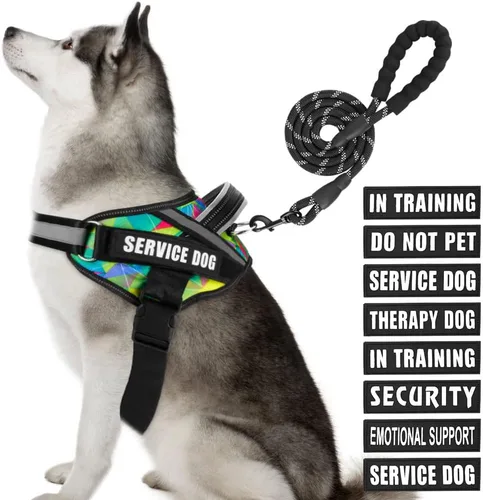 Vista 38 de Juego de Chaleco y Correa para Perro de Servicio, Arnés de Entrenamiento Animire para Perro con 10 Parches para Perros, Correa Reflectante