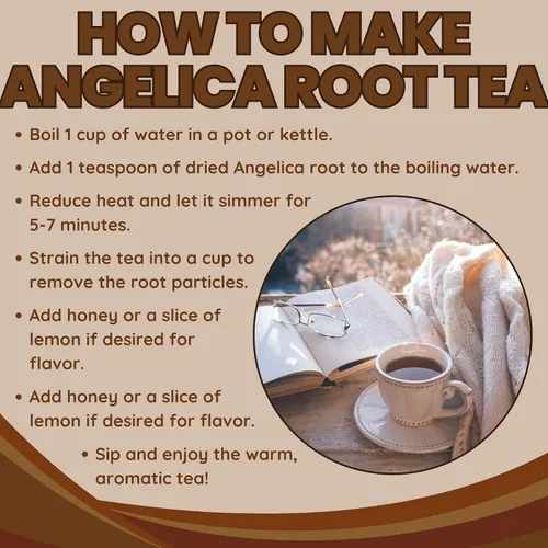 Vista 7 de Herbs Botanica Angelica Root - Hierba angélica de corte suelto y tamizado Ángel de hierbas Angelica Archangelica para té de hierbas, para hornear