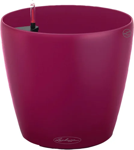 Vista 6 de Lechuza 13183 Classico Color 21 - Maceta autorregable, Nuez Mate