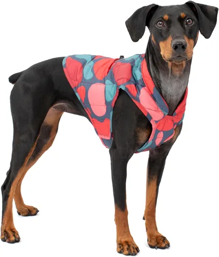 Vista 16 de Kurgo Loft Chaqueta para Perro - Abrigo Acogedor Reversible para Aventuras al Aire Libre - Resistente al Agua - Ajuste Atlético - Tela Lavable a