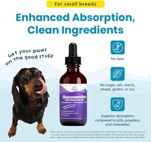 Vista 7 de Paramount Pet Health Glucosamina totalmente natural para perros – 260 mg de glucosamina para perros pequeños – Suplemento líquido