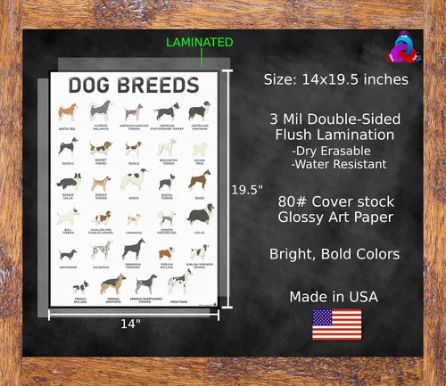 Vista 3 de 3D Learning LLF Juego de pósteres de razas de perros – 58 razas caninas para amantes de los perros, veterinarios, caminantes – Arte de pared