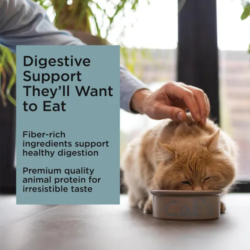 Vista 5 de Go! Solutions Digestión + salud intestinal, comida seca para gatos, receta de pollo con granos antiguos, bolsa de 3 libras Fiber-Rich Kibble for