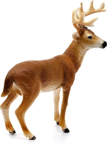 Vista 7 de Schleich Wild Life, Figura de Animal, Juguetes de Animales para Niños y Niñas de 3-8 Años de Edad, Venado de Cola Blanca, Edades 3+