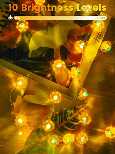 Vista 4 de Paquete de 2 guirnaldas de 30 luces LED de calabaza para decoración de otoño, funciona con pilas 20FT, 3D Pumpkin Fairy Twinkle Lights with Timer