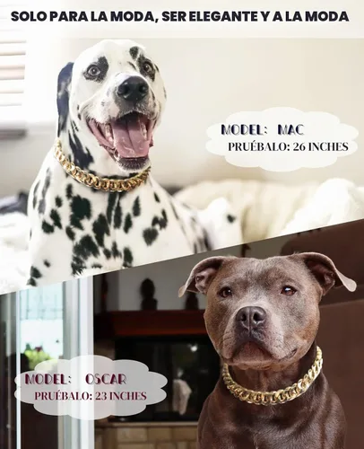 Vista 4 de Collar de perro con cadena dorada de 3/4 de ancho, collar de perro de eslabones cubanos de moda, lindo collar de mascota para perros pequeños
