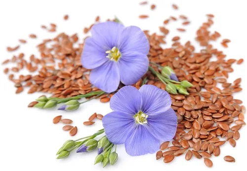 Vista 7 de Harina de linaza marrón orgánica, 1 libra, sin OMG, kosher, molida en frío a partir de semillas enteras crudas, polvo puro, superalimento vegano, a