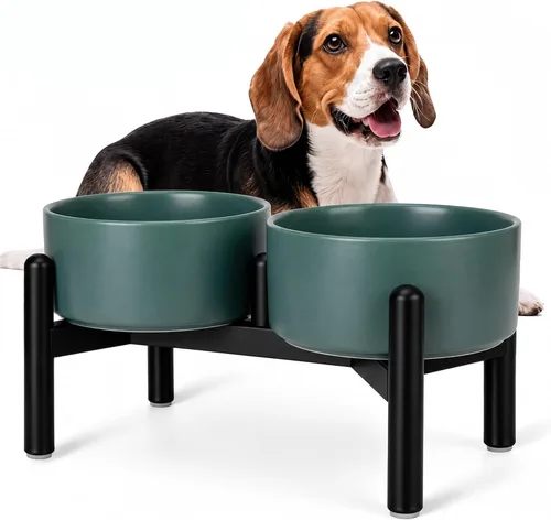 Vista 11 de Juego de cuencos elevados de cerámica para perros con soporte, 2 tazas de Negro