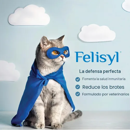 Vista 12 de Felisyl Gel de L-lisina para gatos y gatitos (5 onzas) – Sistema inmunológico, respiratorio y apoyo para la salud ocular. Reduce los estornudos