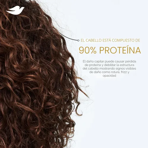 Vista 11 de Dove Champú de coco e hidratación para cabello seco con tecnología de cuidado de bio-proteínas y aceite de coco, 28 onzas líquidas