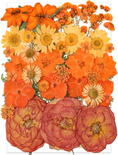 Vista 6 de 14 Tipos 37 piezas Flores Azules Secas Prensadas para Moldes de Resina, YouthBro Flores Secas Naturales Prensadas para Manualidades de Arte DIY