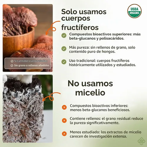 Vista 4 de Extracto de suplemento de cápsulas de hongos Reishi orgánicos Ganoderma