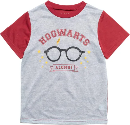 Vista 3 de Harry Potter Gryffindor Hufflepuff Ravenclaw Slytherin - Conjunto de pijama y pantalones cortos para dormir para niños pequeños a niños grandes