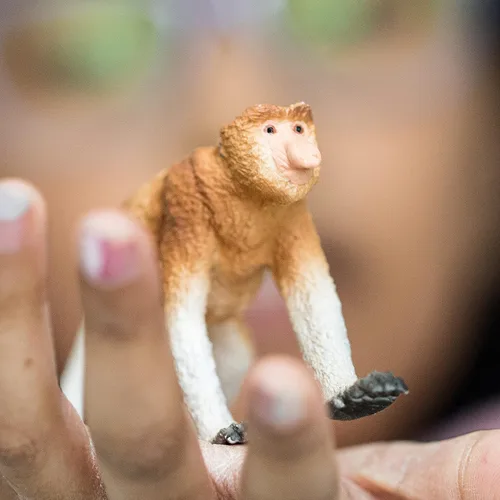 Vista 3 de Schleich Wild Life - Figura realista de mono Proboscis – Auténtico y altamente detallado juguete de animales salvajes, duradero para la educación