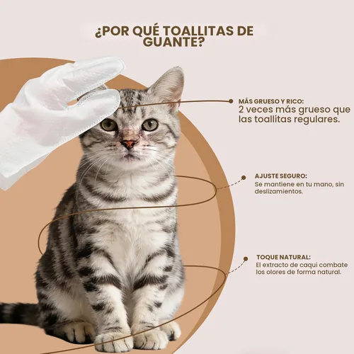 Vista 2 de IMMHABI - Toallitas hipoalergénicas para perros y gatos, 50