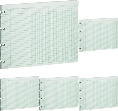 Vista 9 de Wilson Jones Hojas de contabilidad, seis columnas, 9-1/4 x 11-7/8, verde, paquete de 100 hojas sueltas (WLJG106)