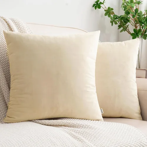 Vista 48 de HWY 50 fundas de almohada decorativas de terciopelo sólido para sofá, sala de estar., Terciopelo, gris, 20x20 pulgadas