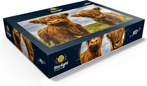 Vista 3 de MyPuzzle Two Highland Cows - Rompecabezas prémium de 100 piezas para adultos