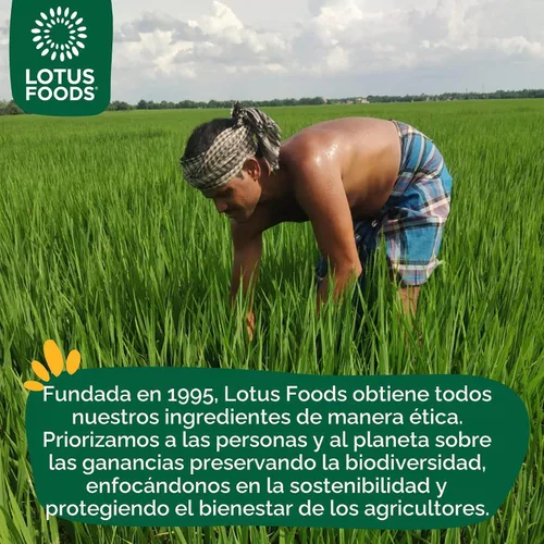 Vista 7 de Lotus Foods Jade Pearl Organic Rice Ramen - Bolsas de 2.8 onzas (paquete de 10)