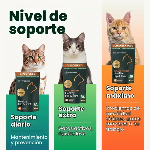 Vista 4 de VetriScience Laboratories GlycoFlex 3, Suplemento para cadera y articulaciones de gatos, 60 pastillas de tamaño masticable