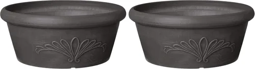 Vista 11 de Arcadia Garden Products PSW TA20C Bandeja Compuesta de Plástico/Piedra/Madera para Bulbos – Sin Orificio de Drenaje (Perforable), 8"x3", Chocolate