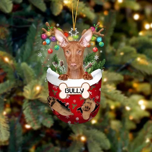 Vista 180 de IZI POD Affenpinscher Adorno de Navidad personalizado para perro, adorno de bolsillo de nieve para perro para árbol de Navidad, adorno acrílico