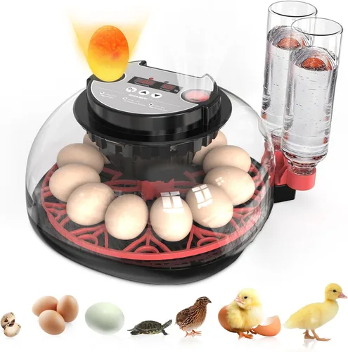 Vista 8 de Incubadoras para incubar huevos Incubadora automática de huevos con control de temperatura y pantalla de humedad, capacidad de 12 huevos para pollo