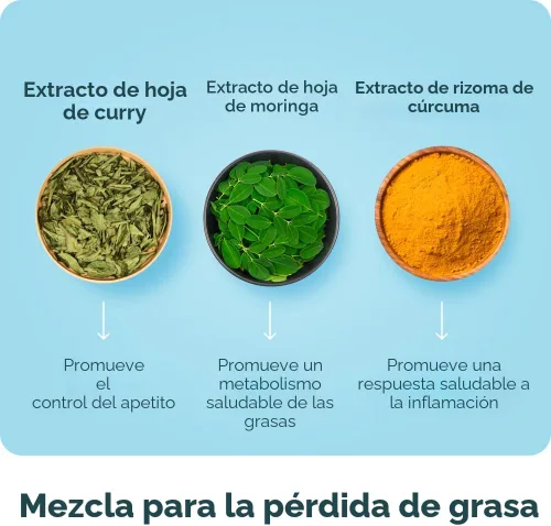 Vista 5 de Ancient Nutrition Multi Collagen Advanced Lean con probióticos, péptidos de colágeno hidrolizados que apoyan la pérdida de peso saludable