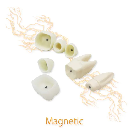 Vista 6 de Modelo de dientes dentales D-IP, modelo de dientes de implante dental transparente Dentista Enfermedad estándar Diente extraíble Modelo de enseñanza