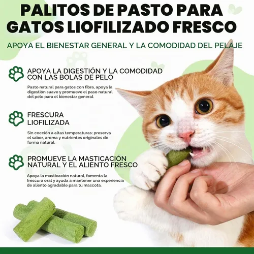 Vista 2 de Palito de hierba para gatos de 2.12 oz, secado congelado, bocadillos para limpieza de dientes y eliminación de bolas de pelo, sabor natural a pollo
