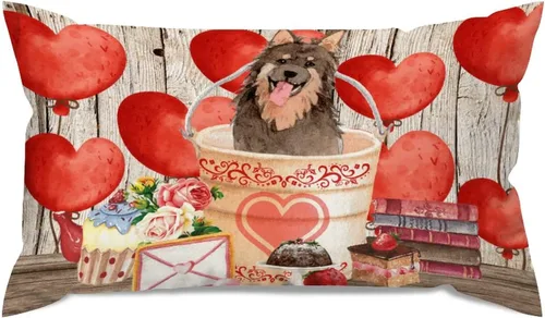 Vista 47 de Fundas de almohada lumbar con textura de madera rústica para perro en cubo, diseño de corazón rojo para el día de San Valentín, fundas de almohada