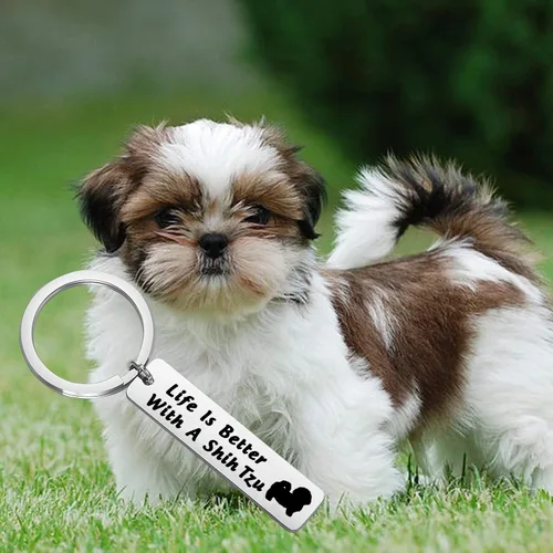 Vista 6 de FEELMEM Llavero de perro Lover Gifts Life Is Better with A French Bulldog